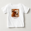 Buscar alpacas bebe ropa Llama