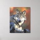 Buscar wolf lienzos Vida silvestre
