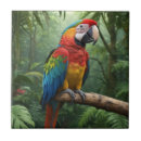 Buscar pájaro del mascota azulejos Pájaros