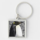 Buscar llano llaveros Animal