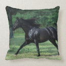 Buscar pura sangre cojines Funcionamiento