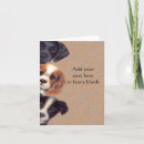 Buscar el mirar a escondidas postales Tarjeta