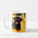 Buscar el labrador feliz tazas General y unisex