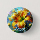 Buscar de los daylilies Para todos