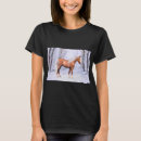 Buscar palomino ropa Stallion