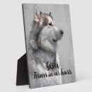 Buscar raza del perro mascotas General y unisex