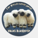 Buscar valais pegatinas Para todos