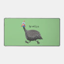 Buscar gallina electronica Pájaro