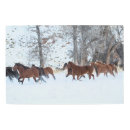 Buscar manada de caballos posters Nieve