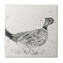 Buscar faisán azulejos Vida silvestre