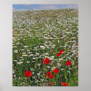 Buscar cultivo arte Rojo