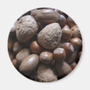 Buscar nuez imanes Nueces