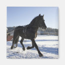 Buscar recreativo imanes Horizontal