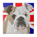 Buscar bulldog azulejos Bulldog en inglés