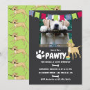 Buscar perro labrador invitaciones General y unisex