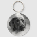 Buscar del weimaraner llaveros Cachorro