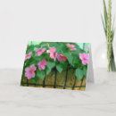 Buscar cesta de la flor tarjetas Fotografía
