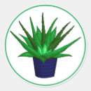 Buscar aloe vera pegatinas Planta