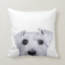 Buscar pintura original cojines Blanco