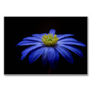 Buscar tarjetas mesa Azul