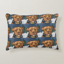 Buscar staffordshire bull terrier cojines Perro bully