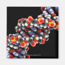 Buscar biología imanes Investigación