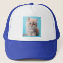 Buscar gatito adorable gorras Felino