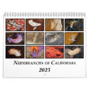 Buscar animales marinos calendarios Arrecife