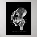Buscar estudiante de medicina posters Médicos