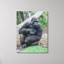 Buscar gorilas lienzos Animales