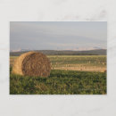 Buscar bala postales Al aire libre