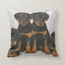 Buscar perro del rottweiler cojines Perrito
