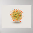 Buscar bacteriología posters Ilustraciones biomédicos