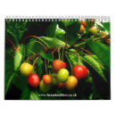 Buscar helechos calendarios Plantas