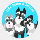 Buscar mini schnauzer pegatinas Amante del perro