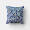 Buscar frambuesa cojines Patrón