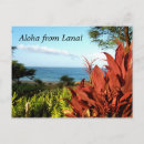 Buscar lanai postales Hawaiano
