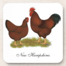 Buscar pájaros corcho posavasos Huevos