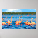 Buscar pink flamingo arte Animal
