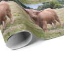 Buscar toros papel de regalo Animal