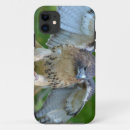 Buscar halcones iphone fundas Pájaro