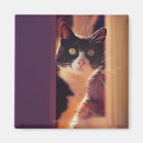 Buscar malaga imanes Mirada de la cámara