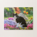 Buscar gato blanco y negro puzzles Lindo
