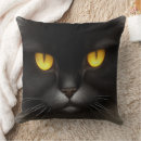 Buscar gatito negro cojines Halloween