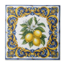 Buscar mayólica azulejos Tradicional