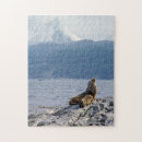 Buscar leones marinos puzzles Naturaleza