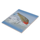 Buscar peces de agua salada azulejos Océano