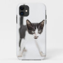 Buscar ninguna gente iphone fundas Gato