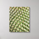 Buscar macro lienzos Fotografía