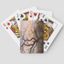 Buscar cuervo barajas de cartas Aves